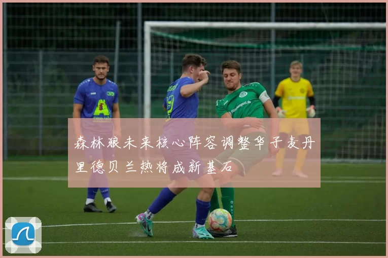 森林狼未来核心阵容调整华子麦丹里德贝兰热将成新基石